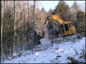 Maine Land Clearing Companies