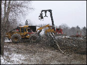 Maine Land Clearing Companies