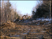 Maine Land Clearing Companies