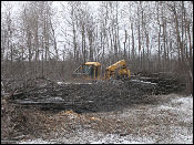 Maine Land Clearing Companies