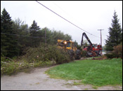 Maine Logging Companies