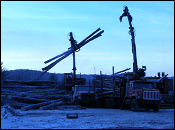 Maine Logging Company