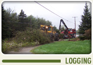 Maine Logging Companies